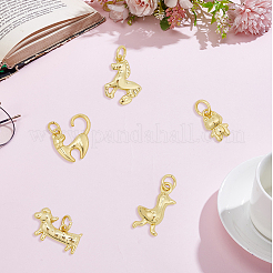 10pcs 5 Arten Messinganhänger&nbsp;KK-BBC0022-98