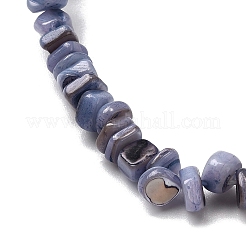 Perles de coquillages naturels d'eau douce&nbsp;SHEL-B003-01G