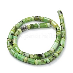 Natur Serpentin Perlen Stränge&nbsp;G-C074-01