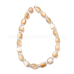Natürliche Trochidschale / Trochusschalenperlenstränge&nbsp;BSHE-A002-01B