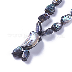 Collane con conchiglia abalone naturale / paua conchiglia&nbsp;NJEW-F255-01