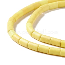 Chapelets de perles en turquoise synthétique&nbsp;G-K327-03