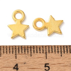Pendentifs breloques d'étiquette vierge estampage en alliage de style tibétain&nbsp;X-TIBEP-A123046-G-FF