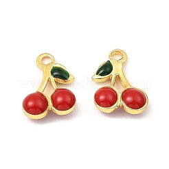 Messing Emaille Anhänger / charms&nbsp;KK-K337-01G-01