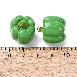 Ciondoli in resina vegetale imitazione&nbsp;RESI-K033-03A-02