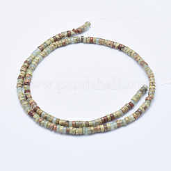 Natürliche Aqua Terra Jaspis Perlen Stränge&nbsp;G-E444-17-4mm