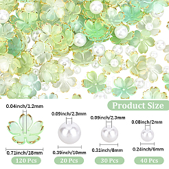 120 bouchons de perles en acrylique.&nbsp;OACR-PA0002-13C