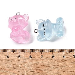 Süße transparente Harzanhänger&nbsp;RESI-S020-03P