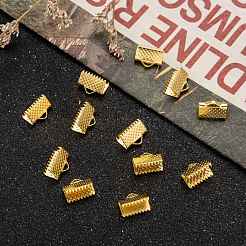 Eisenband Crimp-Enden&nbsp;X-E143Y-G