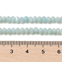 Hebras de cuentas teñidas de concha natural de agua dulce&nbsp;SHEL-R100-13A-02