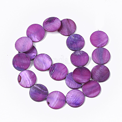 Chapelets de perles en coquille d'eau douce &nbsp;SHEL-T014-011E