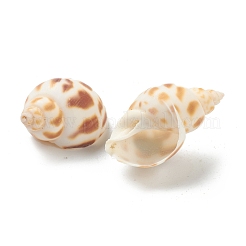 Spirale Shell naturale perline&nbsp;BSHE-H015-05