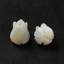 Natürliche Trochidschale / Trochusschalenperlen&nbsp;BSHE-E026-03