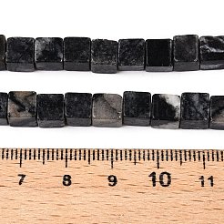 Natürliche schwarze Netzsteinperlenstränge&nbsp;G-T139-6x6-24A
