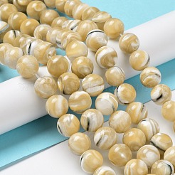 Natürliche Trochusmuschelperlenstränge&nbsp;BSHE-P033-03C