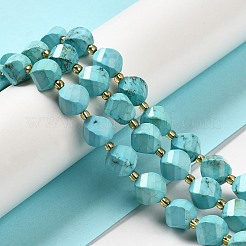 Fili di perline di howlite naturale tinto&nbsp;G-G023-B01-01B