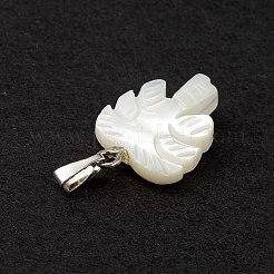 Anhänger der natürlichen Trochidenschale / Trochusschale&nbsp;SSHEL-M021-10