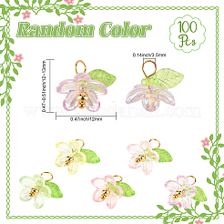 100 colgante de plástico y acrílico&nbsp;FIND-SC0019-77