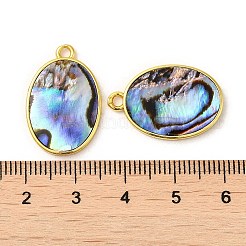 Natur Paua Muschel Anhänger&nbsp;KK-E059-11G