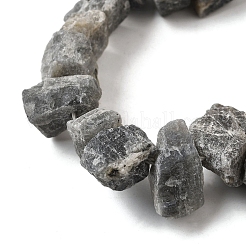 Natur Labradorit Perlen Stränge&nbsp;G-S386-B04