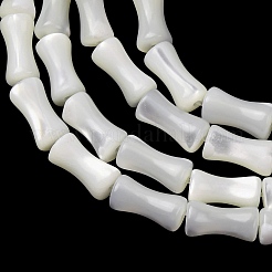 Natürliche Trochidschale / Trochusschalenperlenstränge&nbsp;SH-CBA2978-12