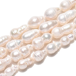 Perles de perles de keshi baroques naturelles&nbsp;PEAR-S020-F14-01