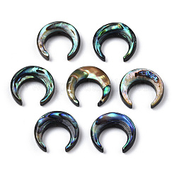 Perles de coquille d'ormeau naturel/coquille de paua&nbsp;SSHEL-N034-122B-01