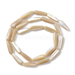 Perle di conchiglia di troco naturale&nbsp;PEAR-B002-01B-B