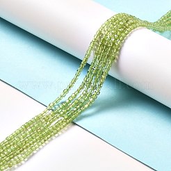 Natürlichen Peridot Perlen Stränge&nbsp;G-D467-A11
