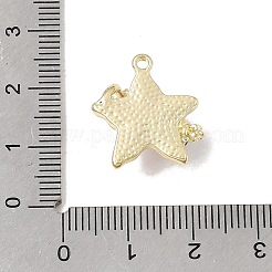 Pendentifs en résine d'alliage&nbsp;FIND-E062-01