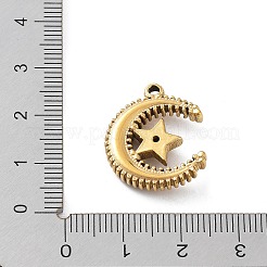 Pendentifs en acier inoxydable 304&nbsp;LS-STAS-G314-01G