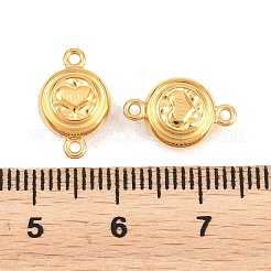 Fermoirs magnétiques en acier inoxydable 304 avec boucles&nbsp;STAS-P452-04B-G