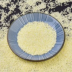 Miyuki Delica Perlen&nbsp;SEED-X0054-DB1521