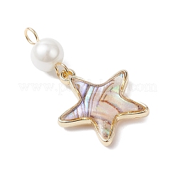4 Stück 4 Stile Messing Emaille Imitation Abalone Muschel Anhänger&nbsp;PALLOY-JF04291