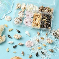 Naturspirale Muschelperlen&nbsp;SSHEL-YW0001-02
