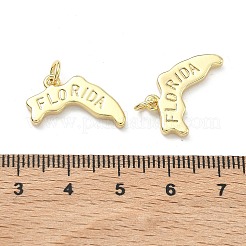 Messing Anhänger & Charms&nbsp;X-KK-D229-22D-G