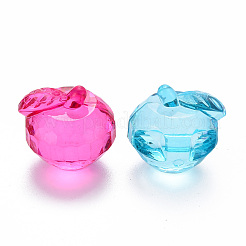 Pendentifs en acrylique transparent &nbsp;TACR-T024-05B