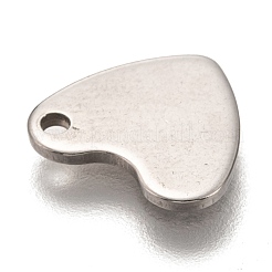Anlaufgeschützte Charms aus Edelstahl 201&nbsp;STAS-I172-29P