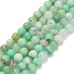 Perles de calcédoine naturelles&nbsp;G-C259-B02-6mm