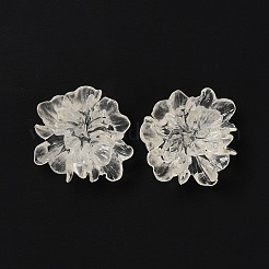 Transparente Harzcabochons&nbsp;LS-RESI-G027-01A