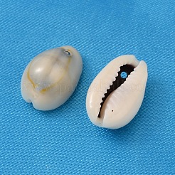 Colgantes de concha de cowrie natural&nbsp;BSHE-S047