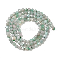 Natürliche Smaragdperlenstränge&nbsp;G-A026-A01-3mm-01
