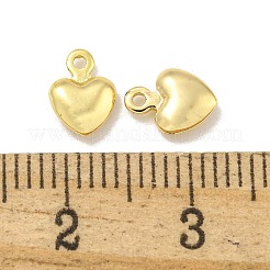 Accumuler breloques de laitonnage&nbsp;KKB-L075-013LG-03