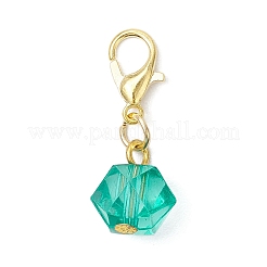 Décorations de pendentifs en acrylique transparent&nbsp;HJEW-JM03618