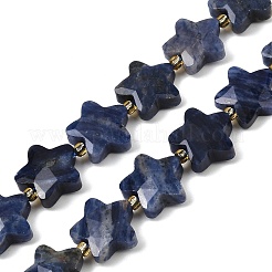 Natur Sodalith Perlen Stränge&nbsp;G-P573-C10-01