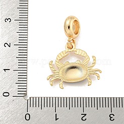 Gestell-Beschichtung&nbsp;FIND-B034-47G