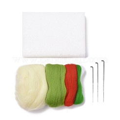 Wassermelonen-Nadelfilzset&nbsp;DIY-I091-01