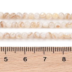 Hebras naturales de cuentas de concha de agua dulce&nbsp;SHEL-T011-02-3mm