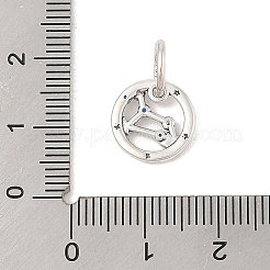 Leuchtende Sternbild-Anhänger aus Sterlingsilber mit Strassen&nbsp;STER-H114-01AS-08