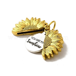 Pendentif en alliage de style tibétain&nbsp;FIND-A038-05AG